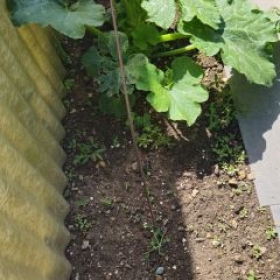 ErbsenUndGekommener 2026-06-20 11.11.